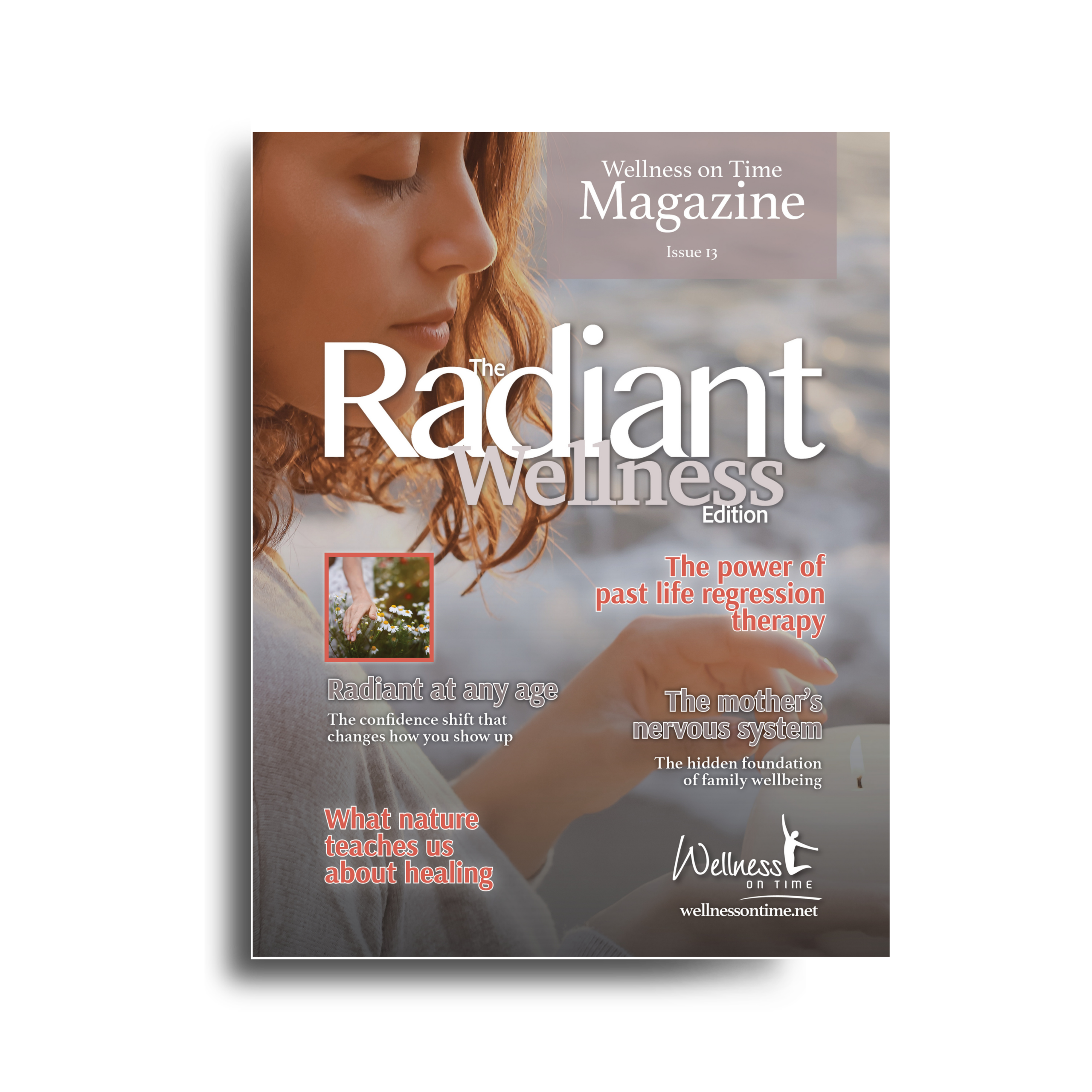 WOT WordPress Magazine Covers